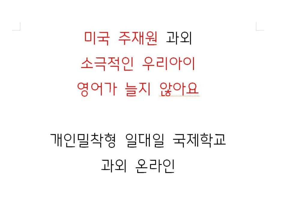 미국 주재원 자녀 영어 부진? 2026년 맞춤형 과외 솔루션