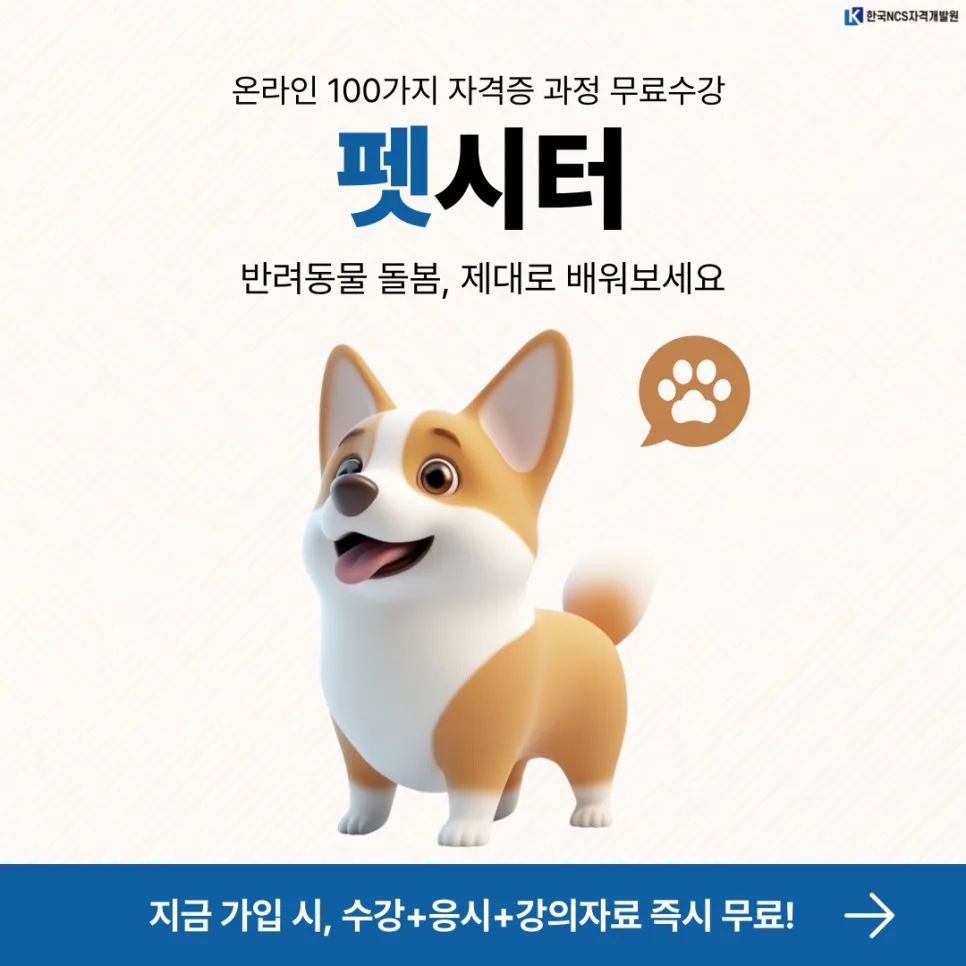 펫시터 1급 자격증 취득 방법 2026: 무료 수강 총정리