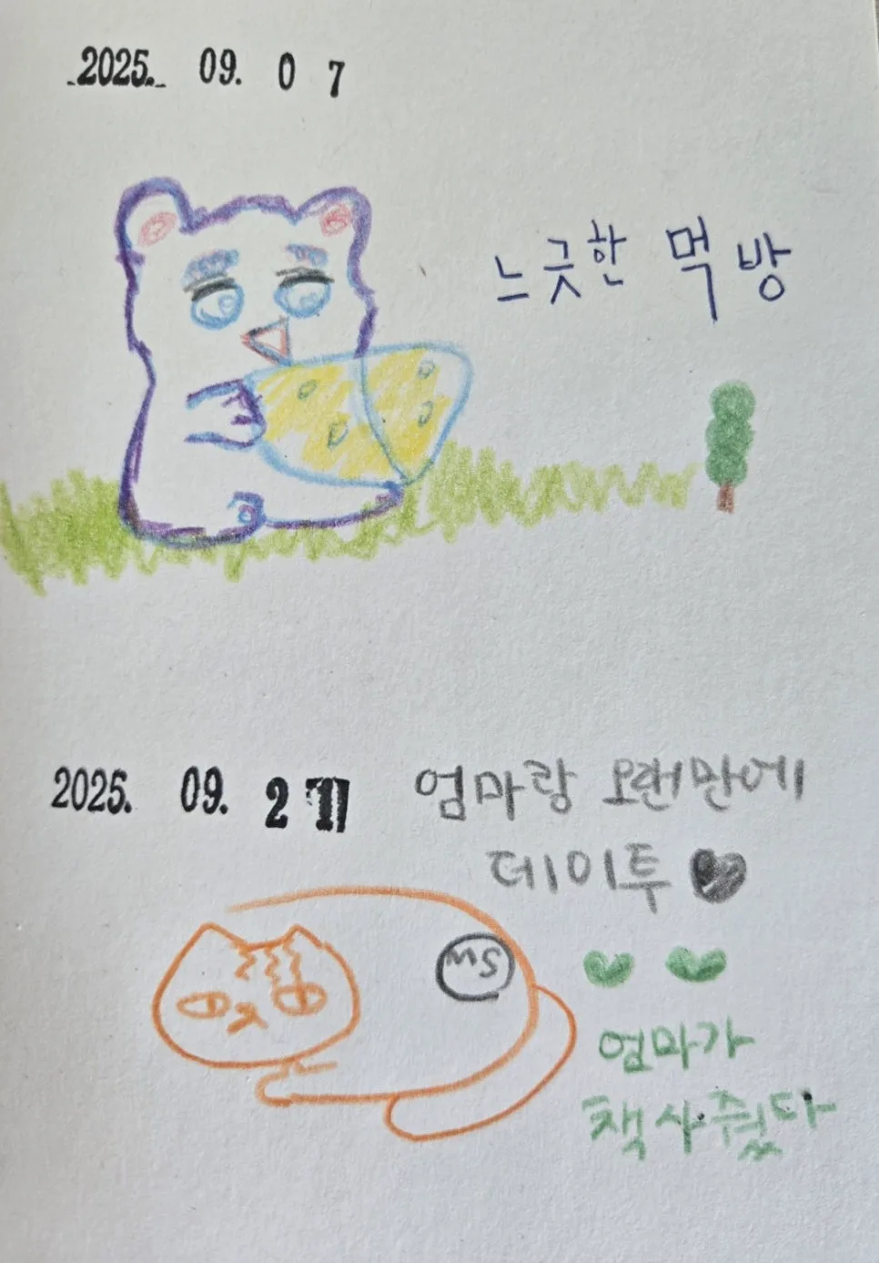 네 자매 이야기 2026: 느긋한 삶의 지혜와 행복 찾기 2