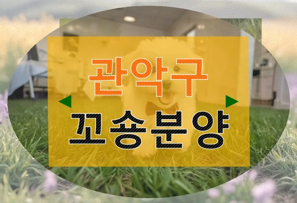 관악구 꼬숑분양, 2026년 핵심 조건 및 비용 완벽 분석