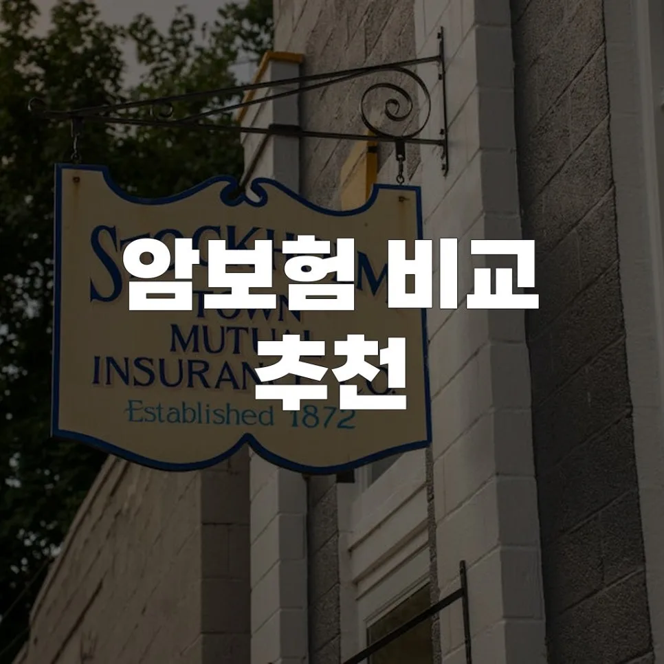 2026년 암보험, 나에게 맞는 상품 찾는 5가지 비교 기준