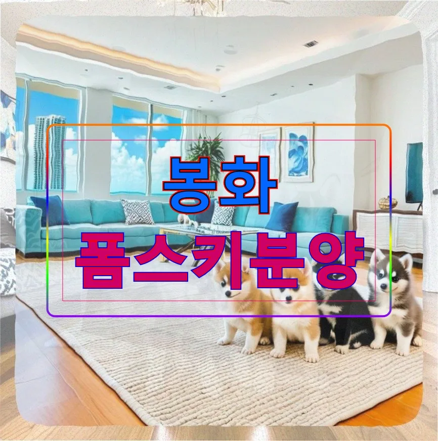폼스키 분양 사기 2026: 50만원으로 배운 직장인 사기 예방법