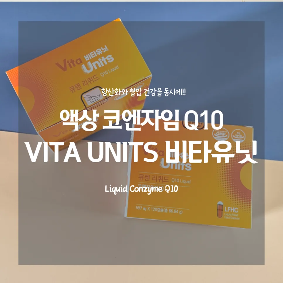 코엔자임Q10 효능 2026: 항산화와 혈압 건강, 직접 섭취 후기