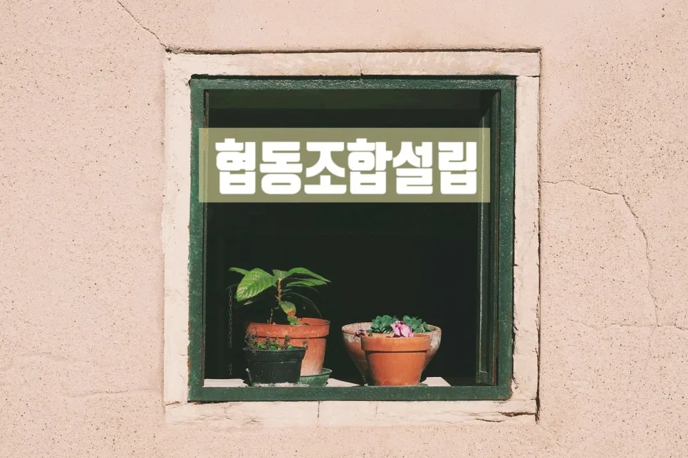 협동조합 설립 절차 2026: 개념부터 신청 방법까지 총정리
