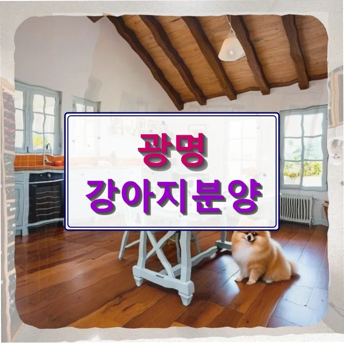 30대 맞벌이 부부, 반려견 분양 후기: 200만원과 현실적 고민 2026