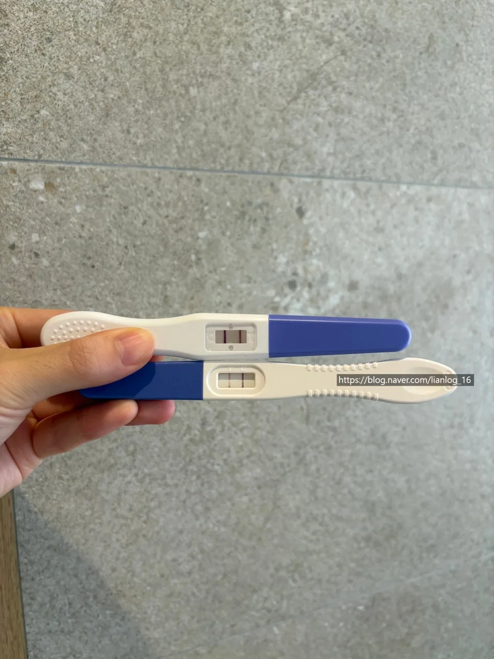 임신 4주~28주차 증상 및 검사 총정리 2026