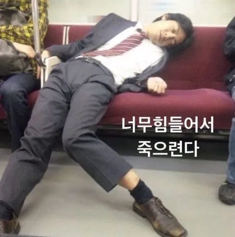 대학생 개강 후기: 2026년 새 학기 적응 꿀팁 3가지