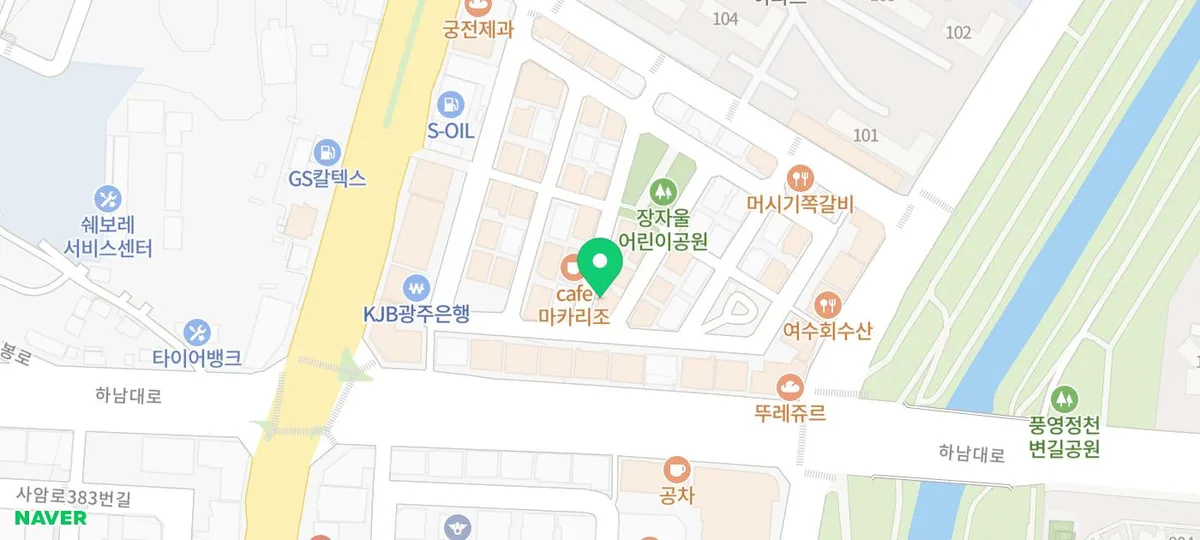 광주 강아지 분양 2026: 건강하고 행복한 반려견 찾는 법