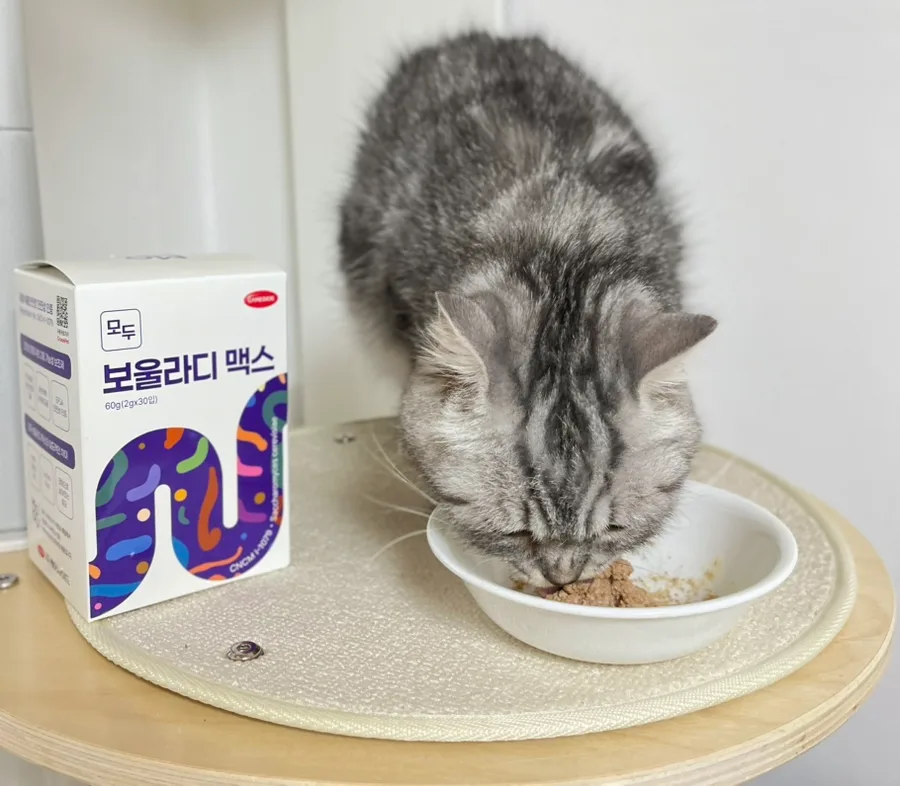 고양이 설사 잡는 유산균 2026: 모두 보울라디 맥스 효능 분석