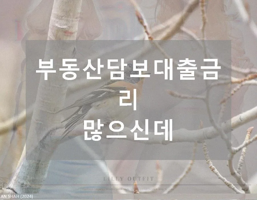 부동산담보대출 금리 2026년, DSR 규제와 함께 알아보는 최적 조건