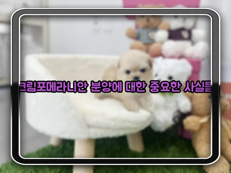 경산 코카스파니엘 분양 후기: 건강한 반려견 맞이 꿀팁 2026