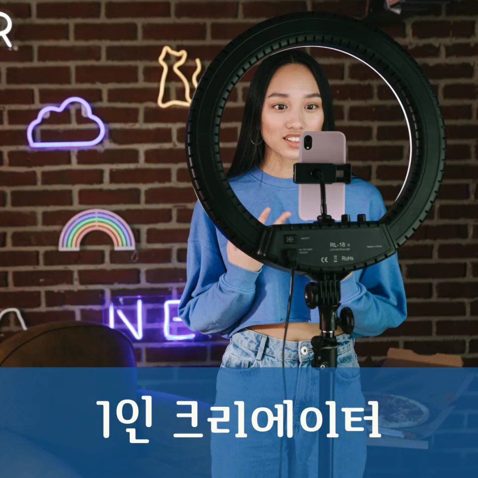 1인 크리에이터 되는 법: 2026년 유망 직업 도전 가이드