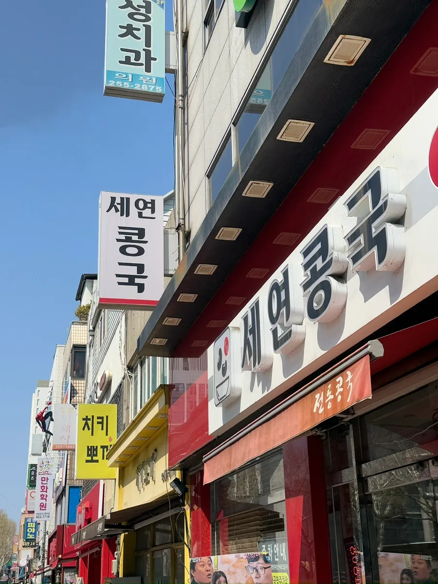 대구 여행 코스 2026: 이월드 벚꽃, 맛집 추천 총정리
