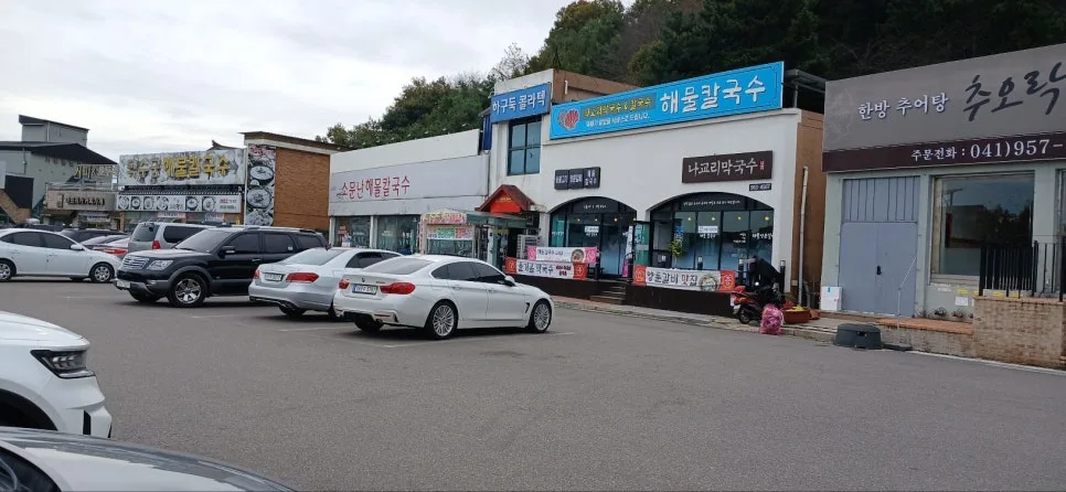 서천 칼국수 맛집 2026: 나교리막국수 방문 후기 및 메뉴 분석 2