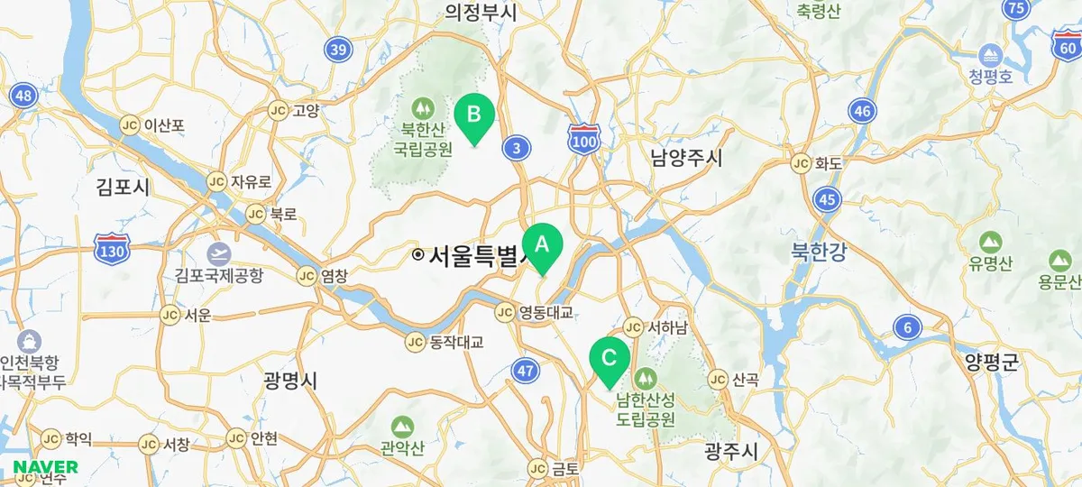 Choosing a Puppy in Seoul: Bluedog Experience & Happy Pet Life 2026