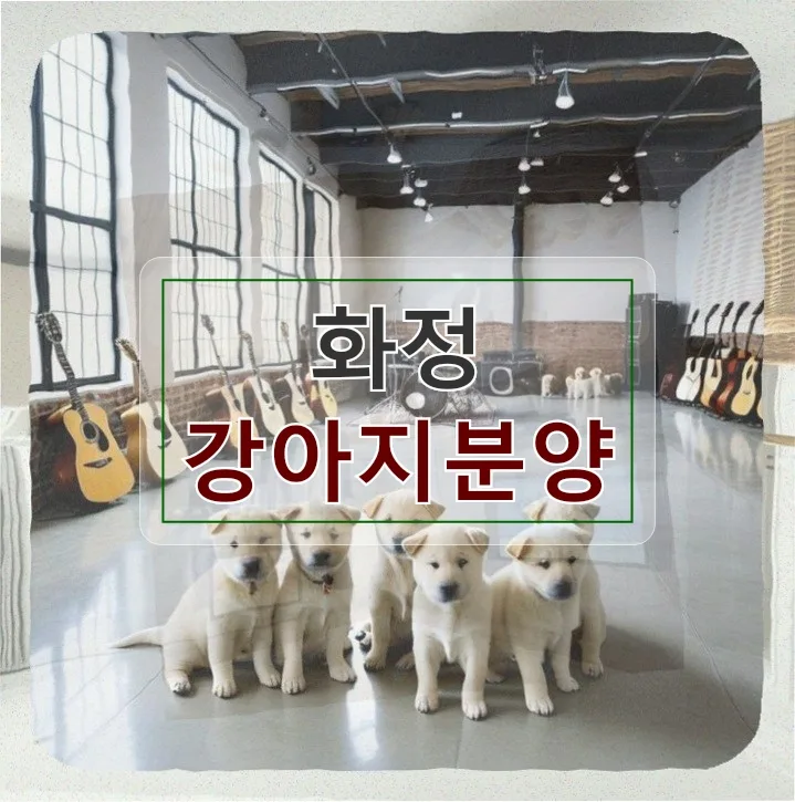 화정 강아지분양 2026: 우리 가족 새 식구 맞이 완벽 가이드
