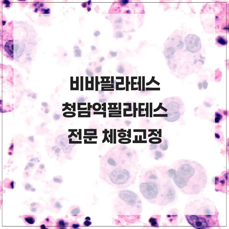 청담 필라테스 2026: 체형 교정 효과와 전문 강사진 비교 분석 2