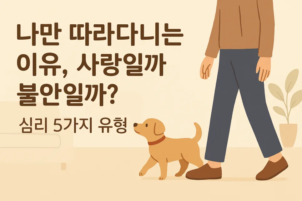 강아지가 당신만 따라다니는 5가지 심리 유형 2026년 분석