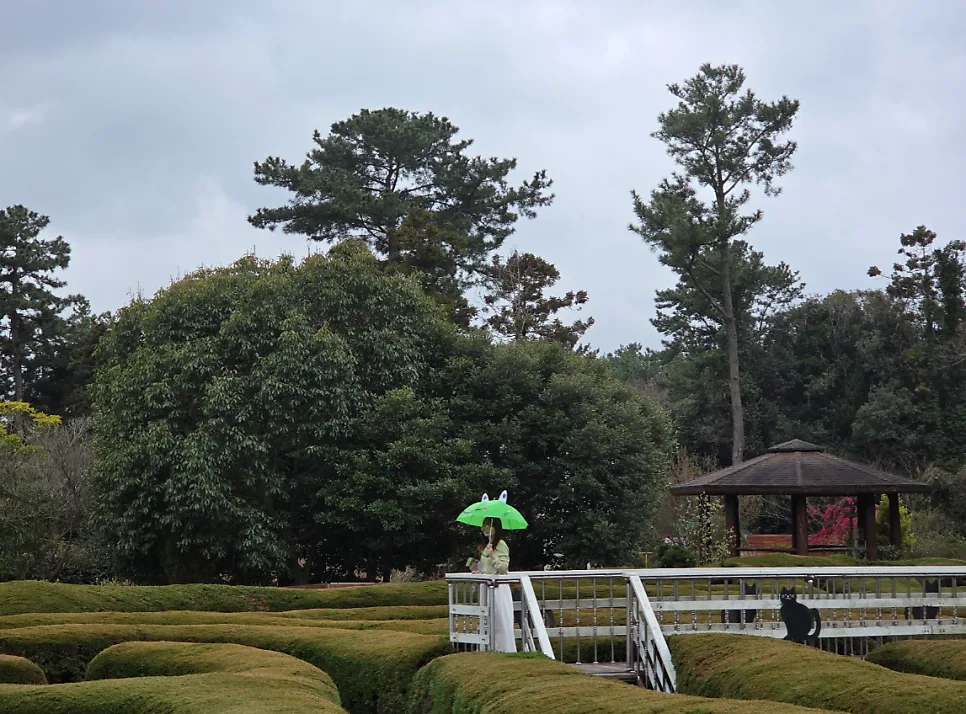 비 오는 날 제주 김녕미로공원, 2026년에도 특별한 경험 ☔