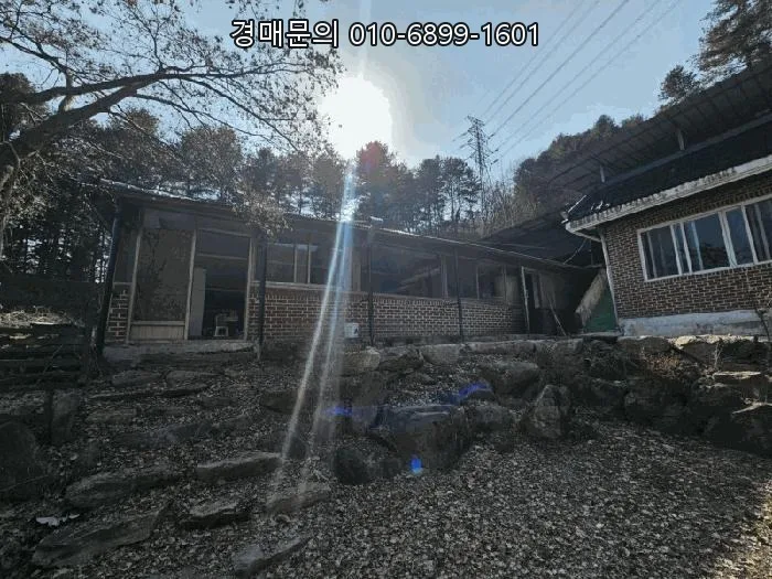 춘천 토지 경매, 2.5만평 대규모 물건 분석 2026