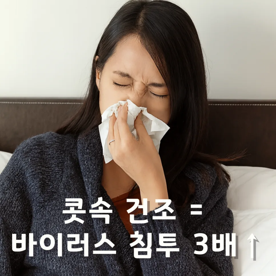 겨울철 콧속 건조, 독감 예방 3단계 솔루션 2026