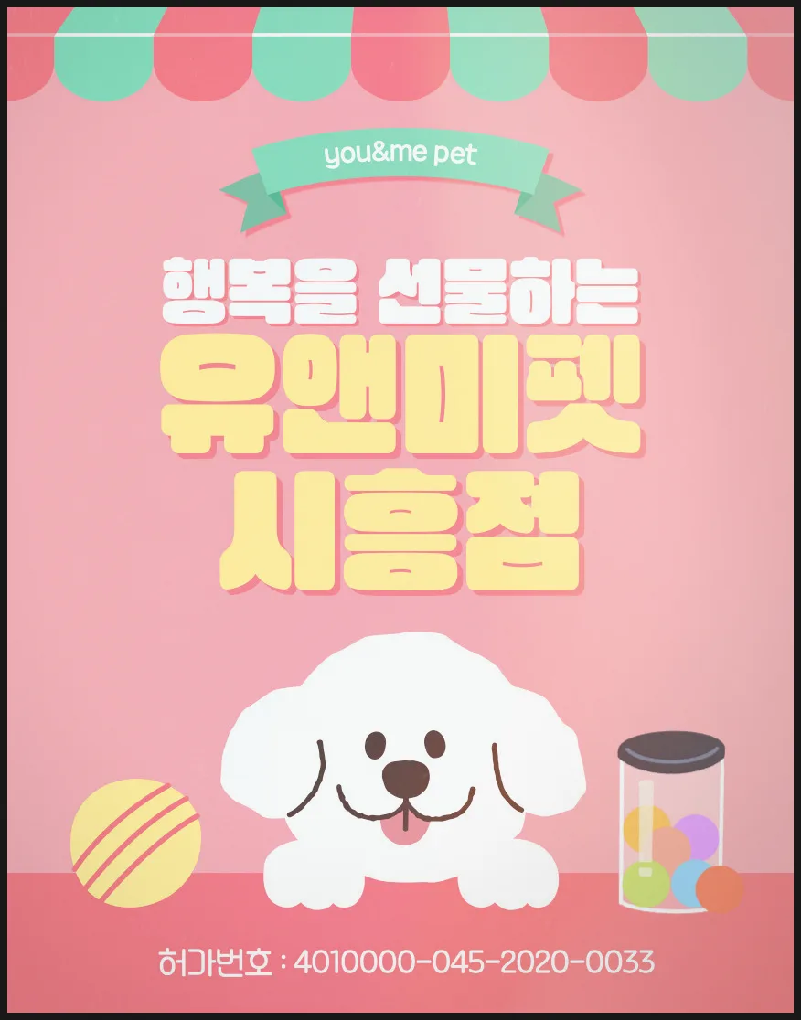 성남 포메라니안 분양 후기: 2026년 반려견 입양 성공 사례 — 반려동물 — dbdosalvpt