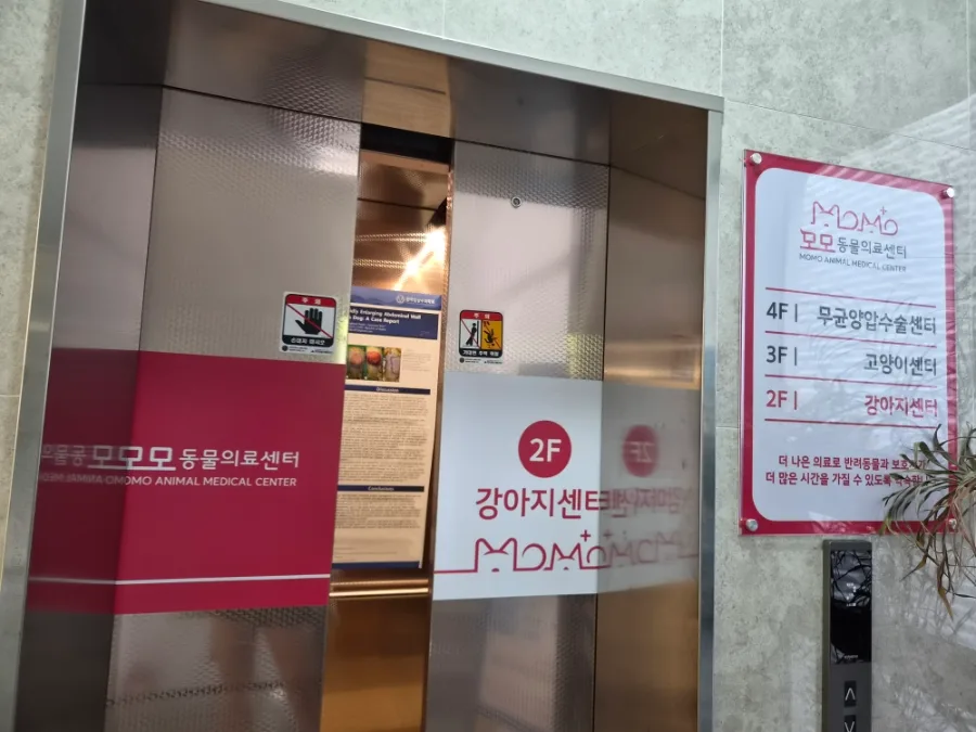 2026년 광견병 주사, 부작용 걱정 없이 안전하게 접종하는 법