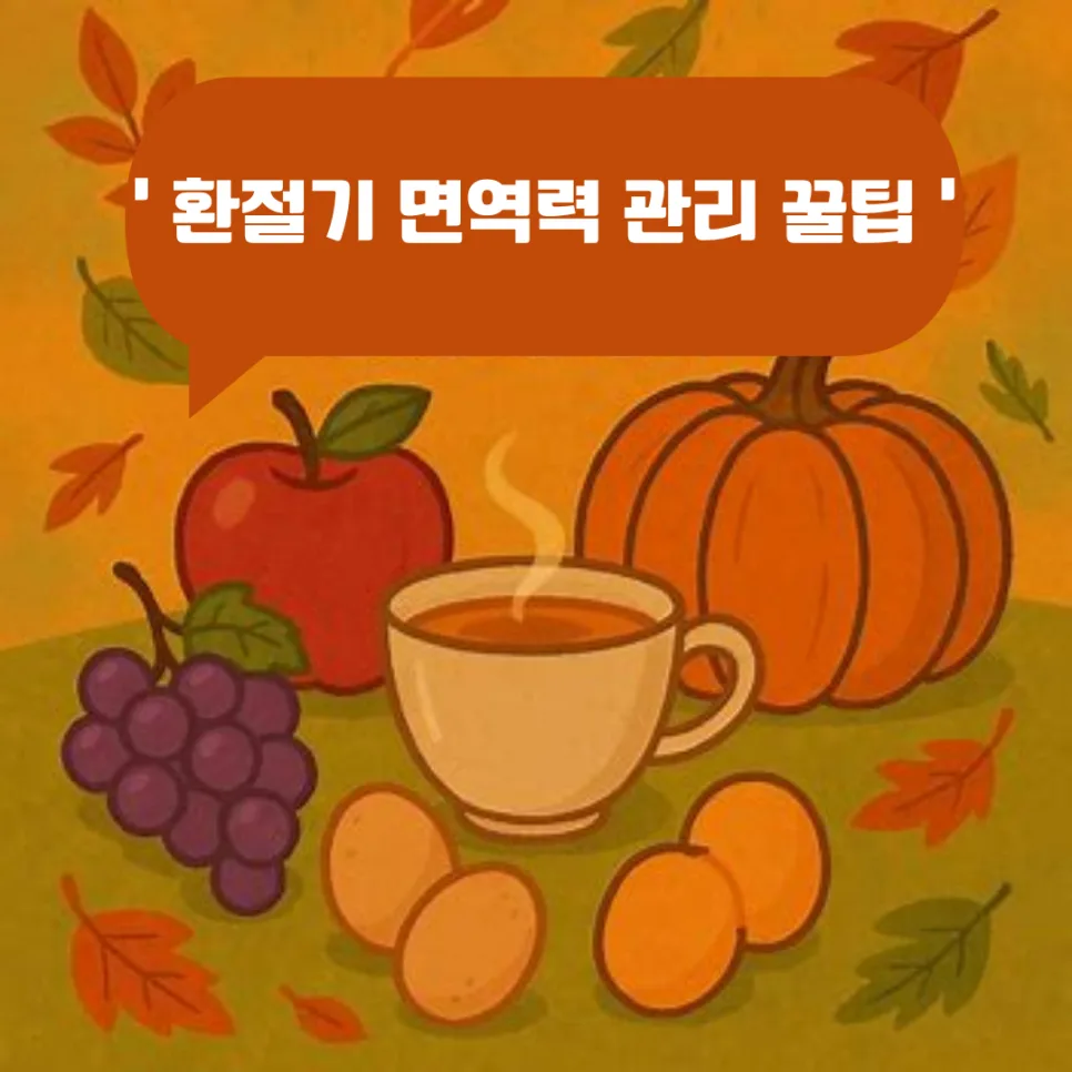 환절기 건강 관리법 2026: 면역력 높이는 5가지 비결