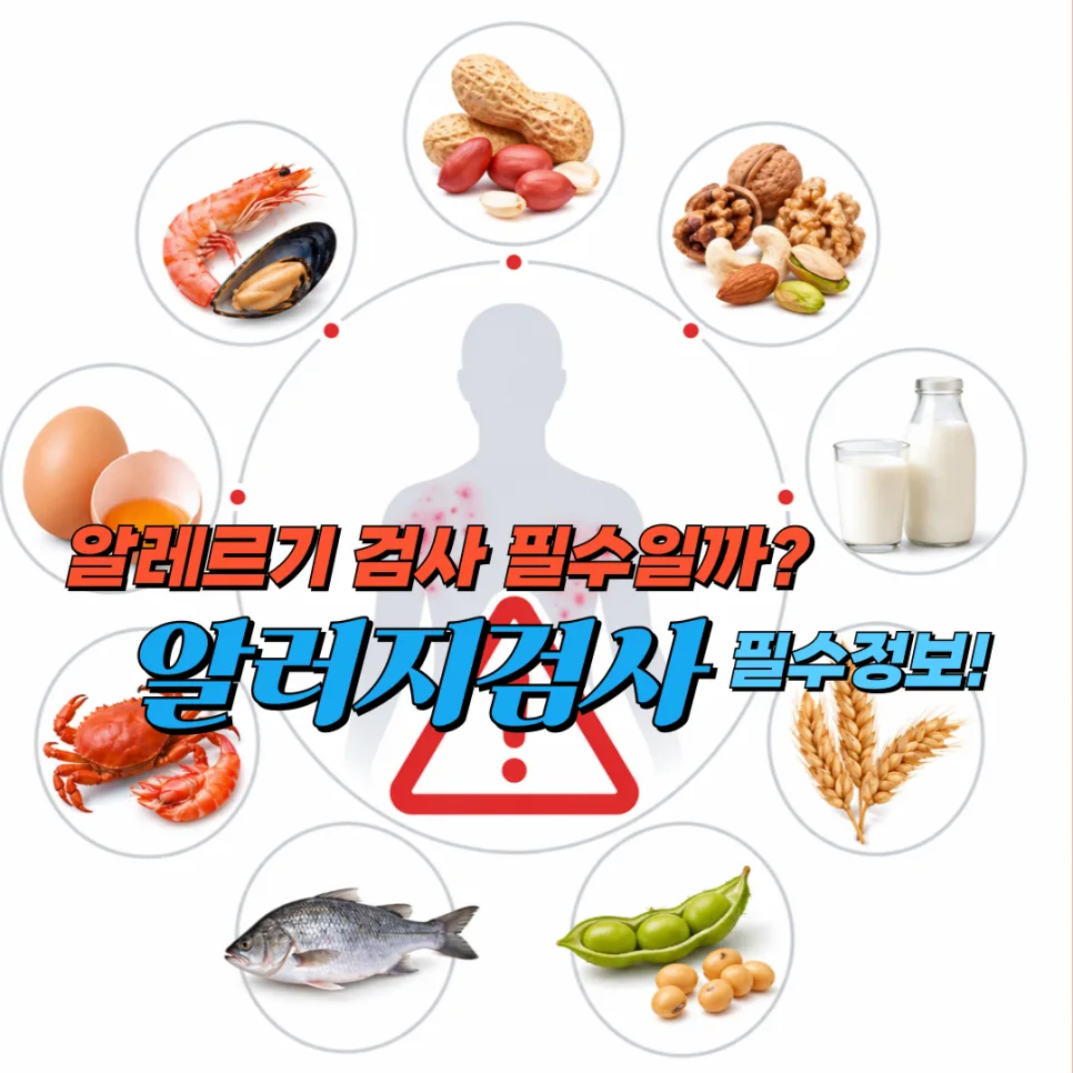 알레르기 검사 종류 및 비용 2026: 실비 보험 적용 기준 총정리
