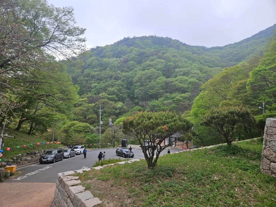 달러 종신보험 2026년, 고객 경험 기반 자산 분산 전략