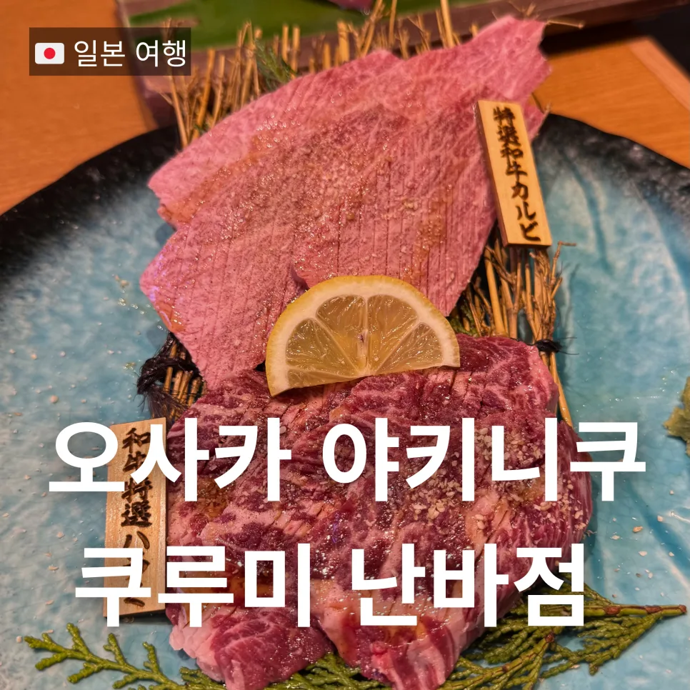 오사카 야키니쿠 맛집 쿠루미 난바점 2026년 와규 코스 후기