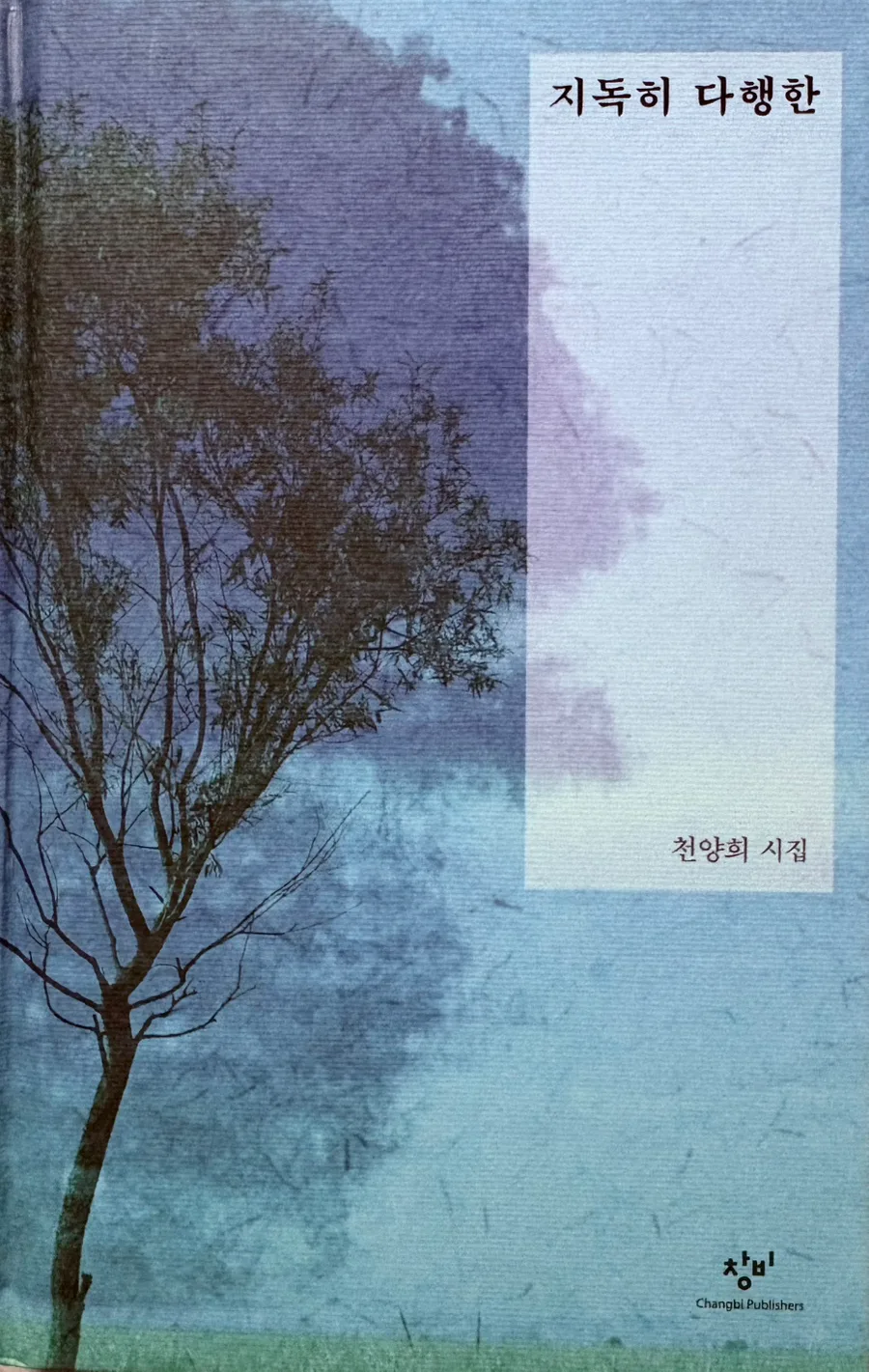 천양희 시인의 '저녁을 부려놓고 가다' 분석 2026: 그리움과 상실감 해부