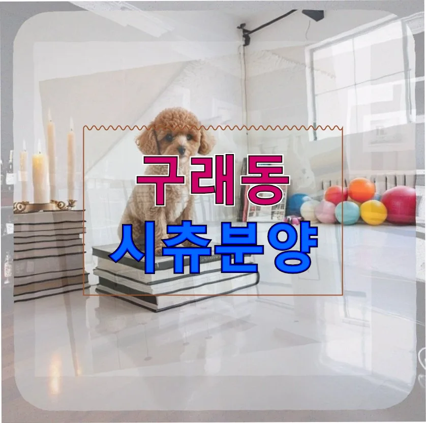구래동 시츄 분양, 건강한 반려견 선택 가이드 2026