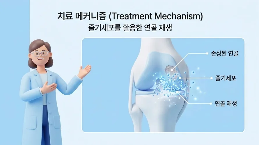 카티라이프·카티스템 보험 보장 2026년 총정리: 실손·특약 비교 2