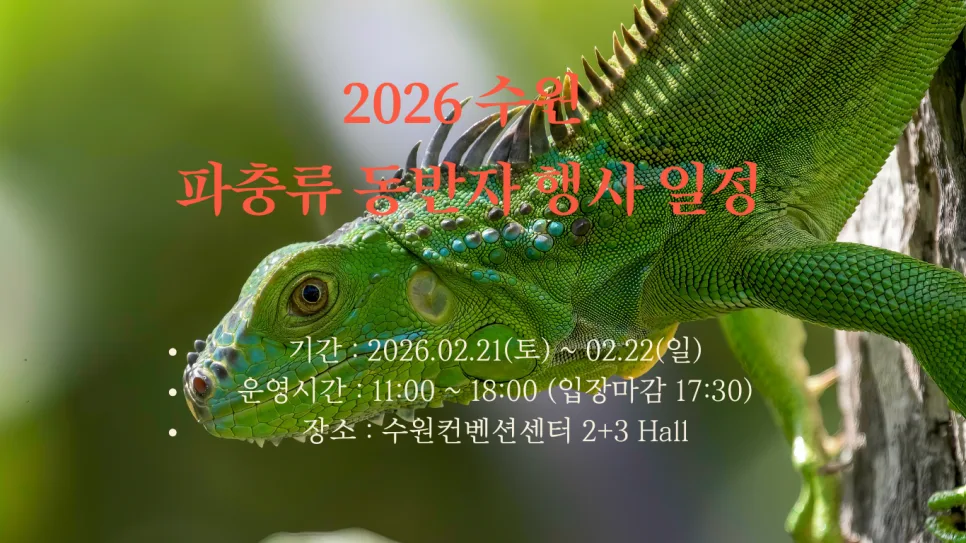 2026 수원 파충류 동반자: 행사 일정, 입장료, 볼거리 총정리 3