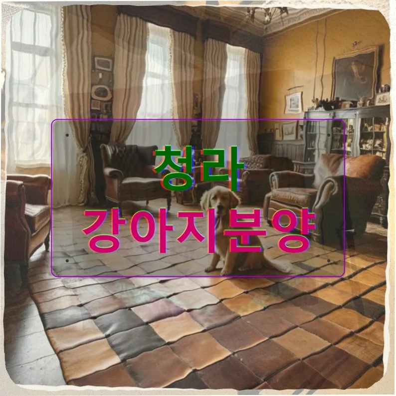 청라 강아지분양 후기: 외로움 극복 위한 반려견 입양 가이드 2026