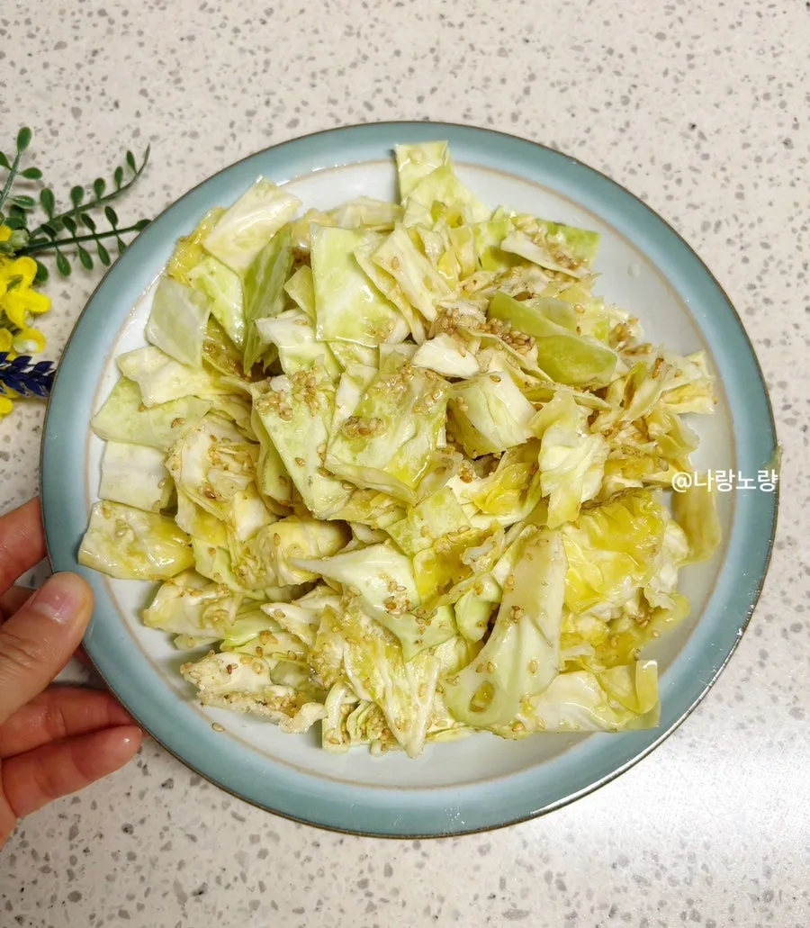 Sung Si Kyung's Cabbage Salad: 5-Min Diet Recipe 2026