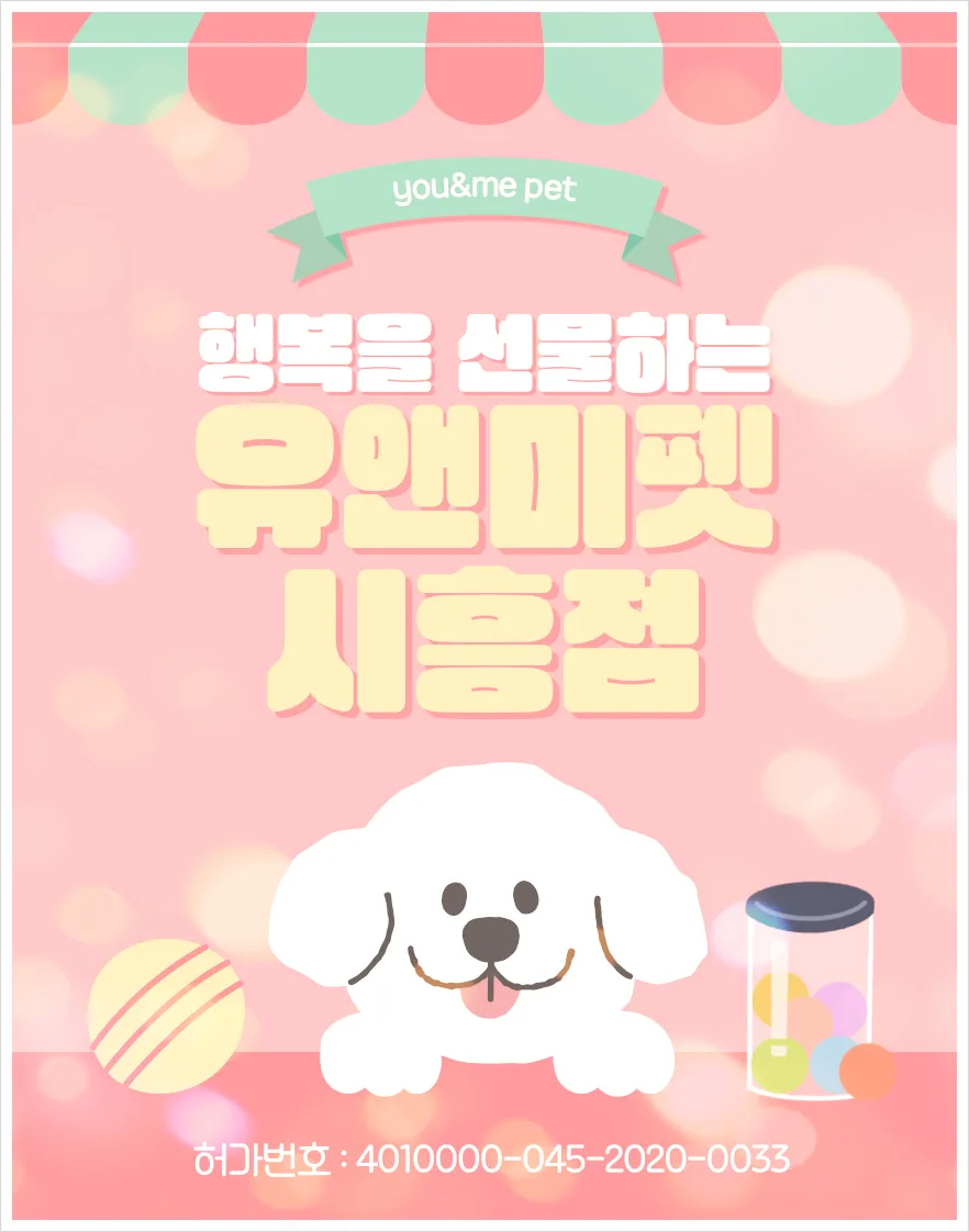 안성 말티즈 분양 2026: 유앤미펫 직접 비교 후기 및 선택 이유 — 반려동물 — dbdosalvpt