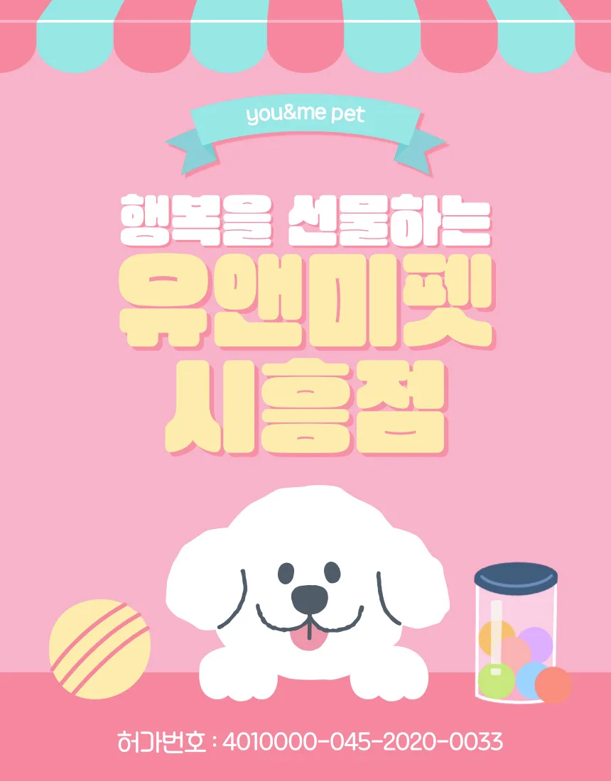동탄 말티즈 분양, 유앤미펫에서 건강한 반려견 찾는 법 2026