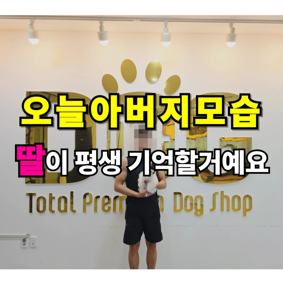 세종시 강아지 분양 2026: 원독 애견센터 파티말티푸 입양 후기 2