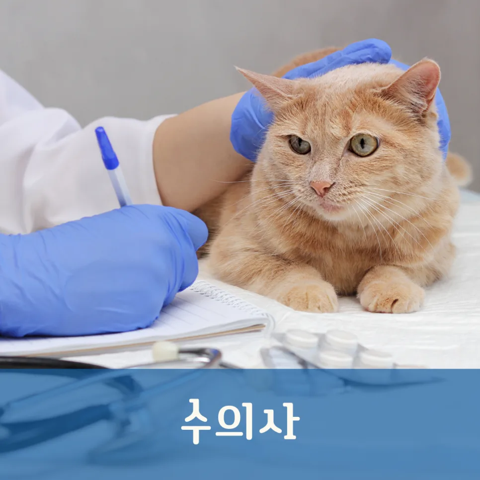 수의사, 1500만 반려동물 시대의 핵심 직업 2026년 전망