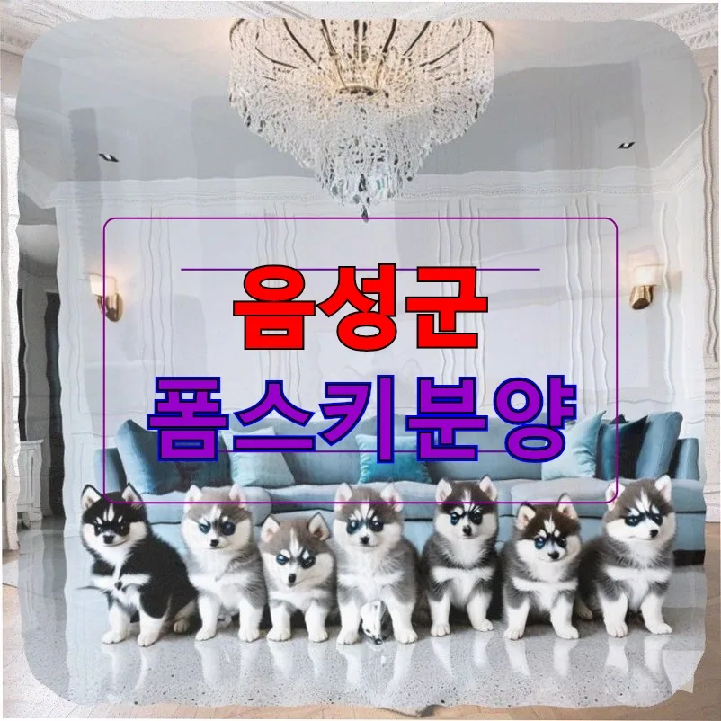 교대근무 펫로스 극복 2026: 폼스키 분양 후기 및 비용
