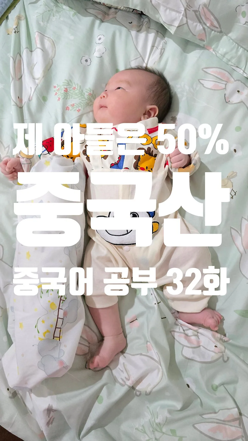 심천 여행 필수 중국어 2026: 현지인처럼 말하는 기초 회화 완벽 정리