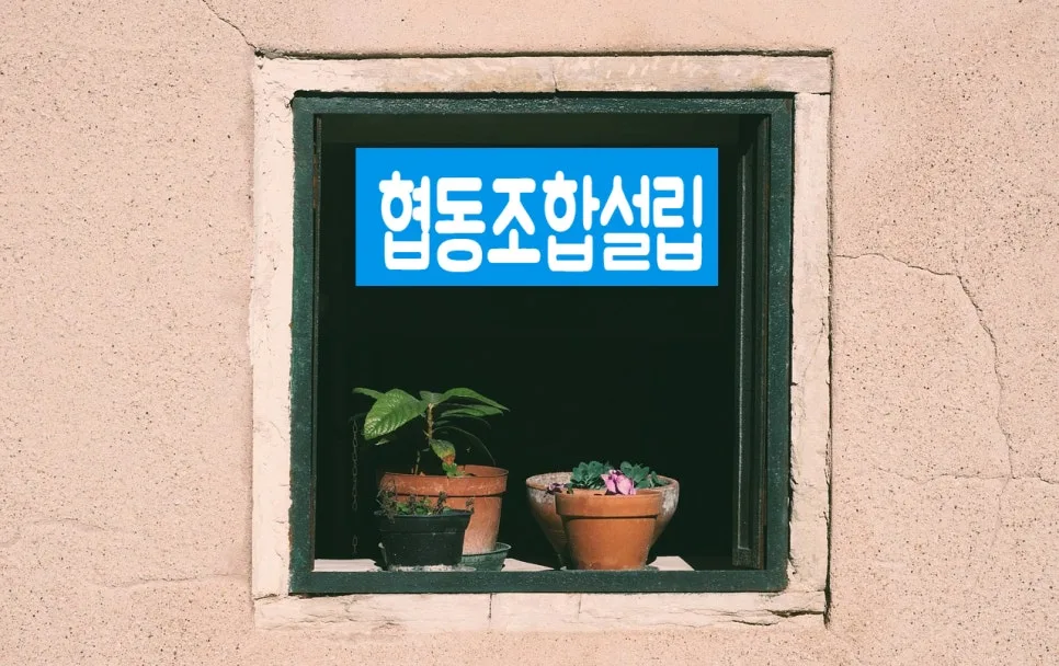 협동조합 vs 주식회사 2026년, 핵심 차이점 완벽 비교