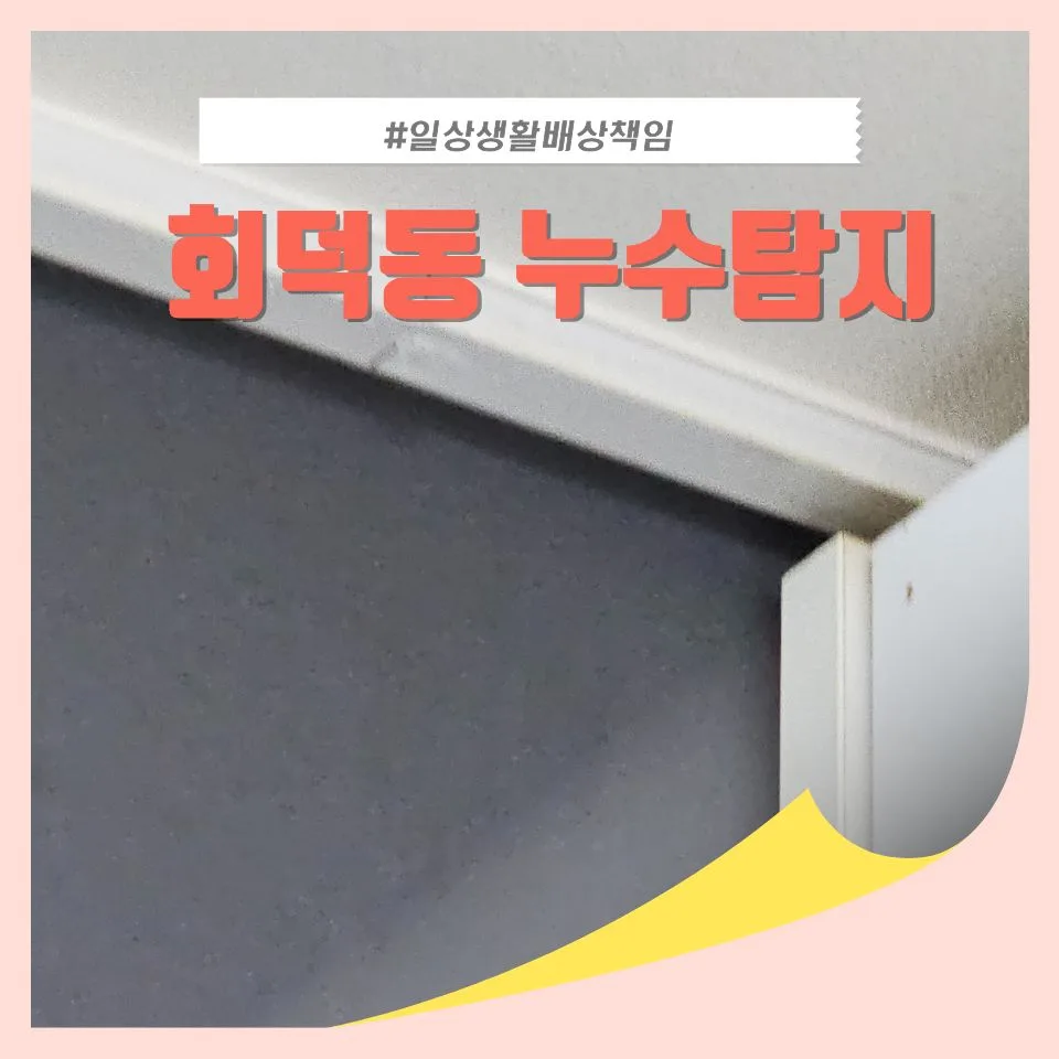 회덕동 누수 원인 2026: 누렇게 변한 천장, 이렇게 해결하세요