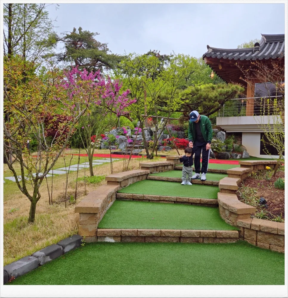 2025년 1학기 중간고사 오류 분석 및 학교별 결과 총정리