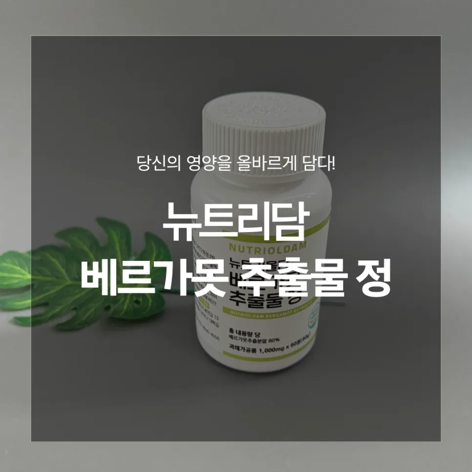 베르가못 추출물 효능 2026: 지중해식 식단 관리 핵심 성분