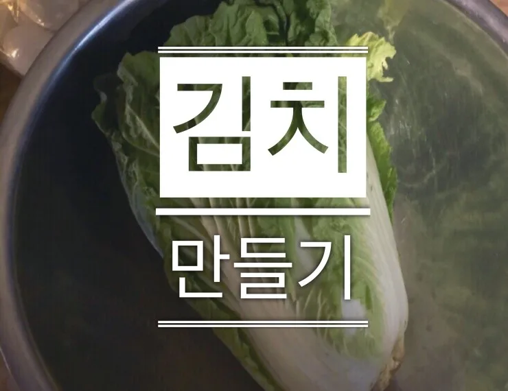 2026년 김치 담그기, 초보자도 성공하는 비법 3가지