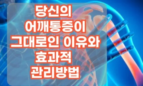 어깨 통증 원인 5가지와 2026년 통증 완화 비법 — 건강·의학 — yakooroo