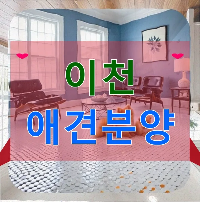 이천 푸들 입양 후기: 첫 전동칫솔 사용법과 주의점 2026